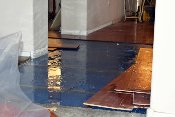 Professional Sewage Cleanup technician working in Croswell, MI
